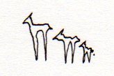 girafes