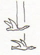 oiseau 2