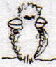 oiseau 5