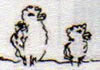 oiseau 7