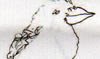 oiseau 8